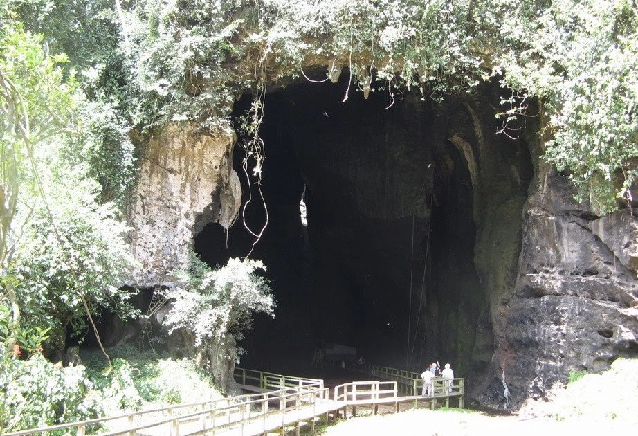 Bat colony spiralling out of the Gomantong cave mouth at dusk