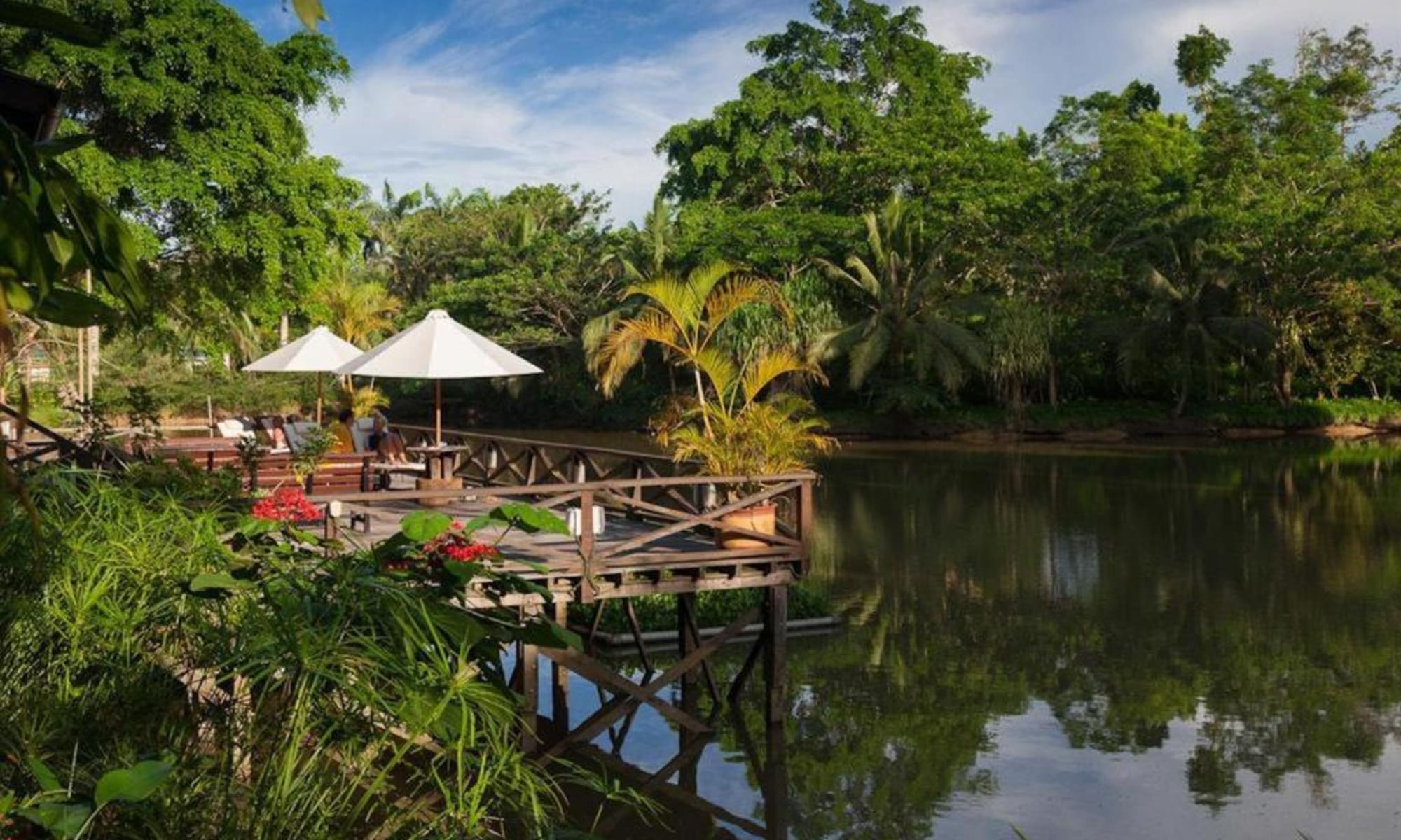 Sepilok Jungle Resort, signature view