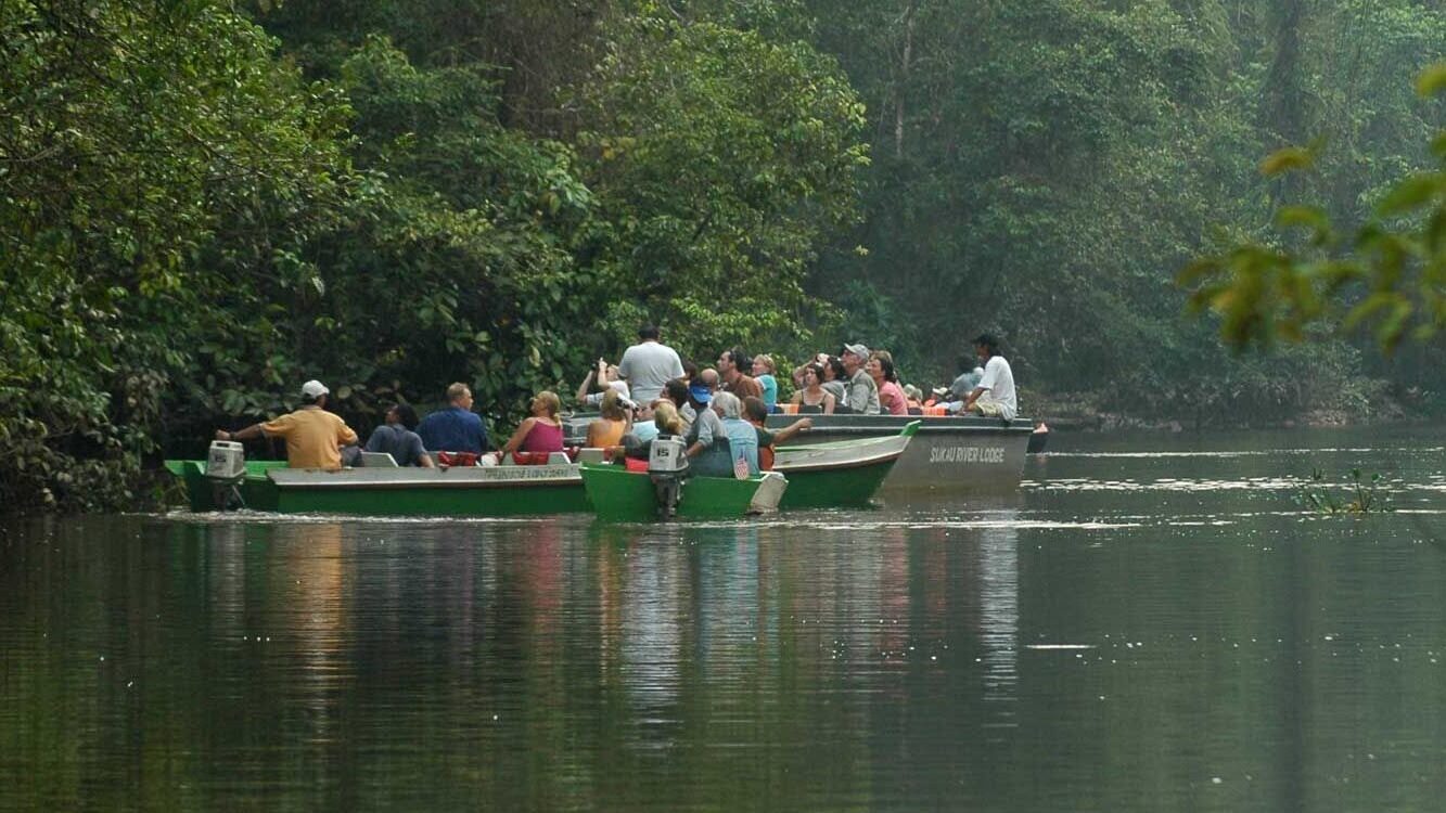 Small boat on the Kinabatangan at dawn, mist on the water, riverbank forest, guide standing at the bow