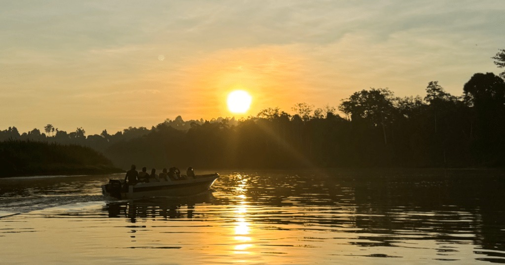 Dawn mist over the Kinabatangan River from a cruise boat