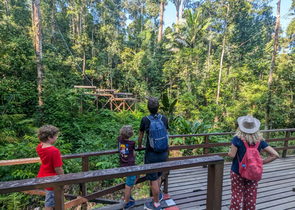 Forest path toward the feeding area at Semenggoh Wildlife Centre