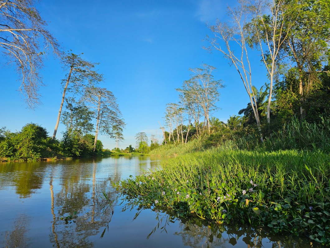 Narrow river stretch at Bilit with forest close on both banks