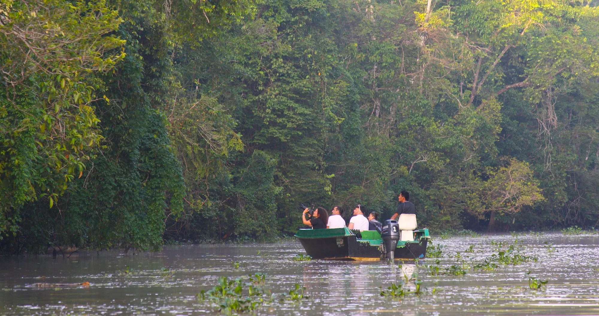 Cruise boats entering the Menanggul tributary at Sukau